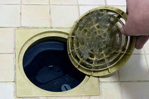 shower drain with metal grate being held open by a hand; the grate is clogged with hair and debris - draining cleaning