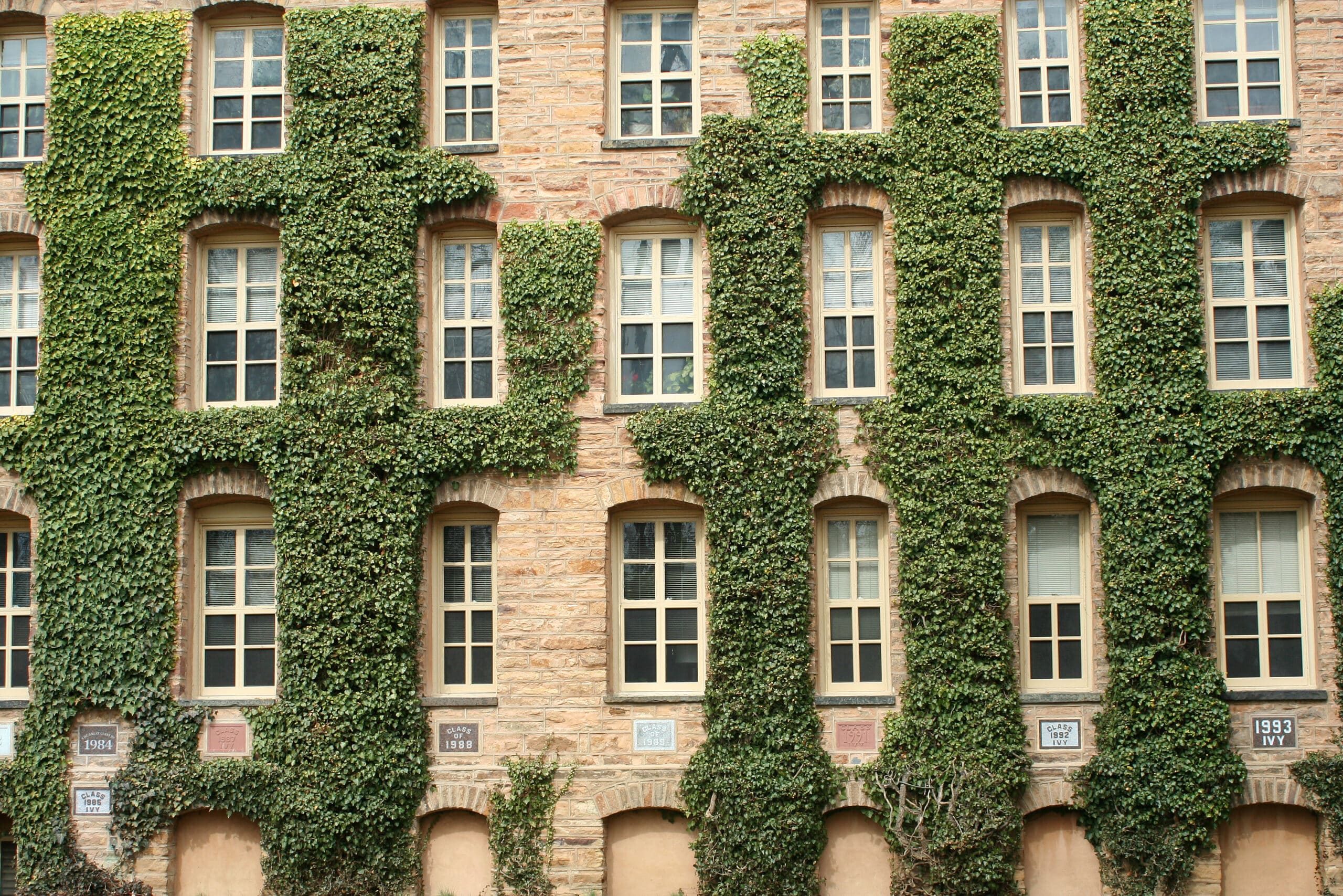 multi-story building with ivy growing on the outside - Messick Plumbing, Princeton Plumber